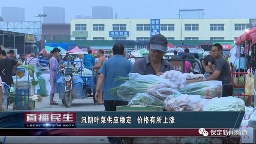 保定汛期蔬菜水果市场动态 叶菜供应稳定价涨，大葱批发价回归一元时代