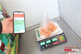 泰安首座24小时智能无人果蔬店落地泮河社区，新鲜水果零售开启智慧新篇章