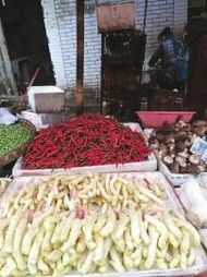 姜你军来势汹汹！四川内江仔姜零售价飙升，每斤高达100元