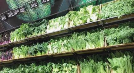 中央企业携手中小企业 新鲜水果零售业的战疫共赢之路