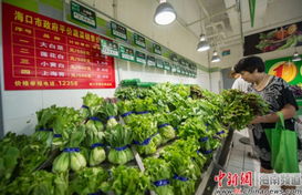 海口开售4种平价菜，设立76个供应点保障市民新鲜蔬菜零售