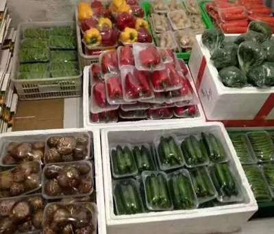 园洲蔬菜 从田间到餐桌的一站式新鲜守护